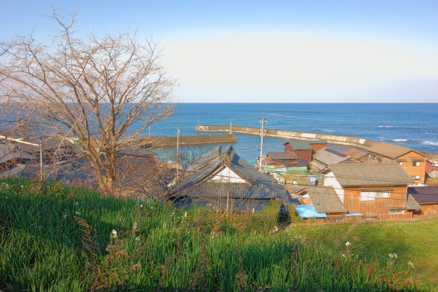 居倉の漁村と漁港