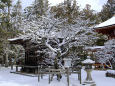 雪の高野山・西行桜