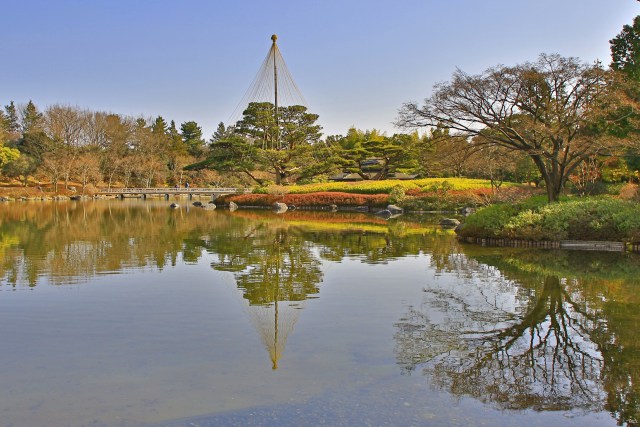 雪吊りのある庭園