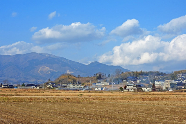 のどかな冬の田園風景