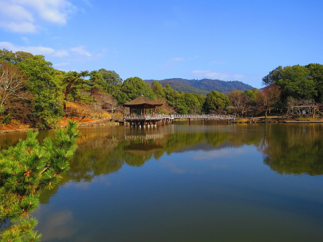 冬の奈良公園・浮見堂