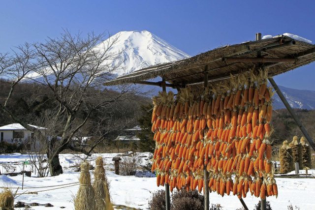 忍野の富士山