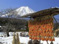 忍野の富士山