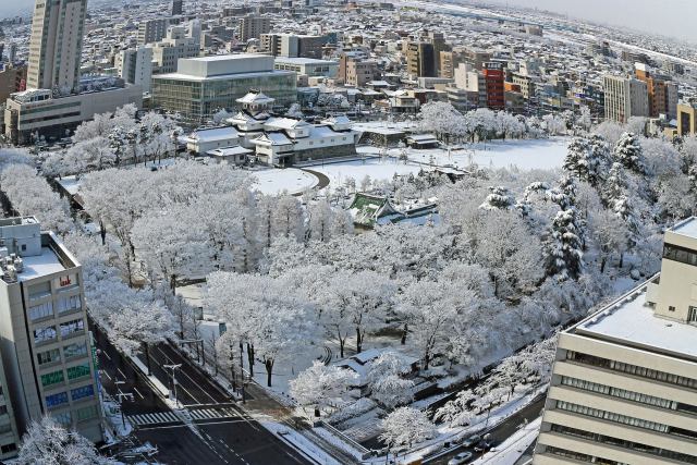 雪の富山城