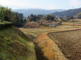 冬、里の風景