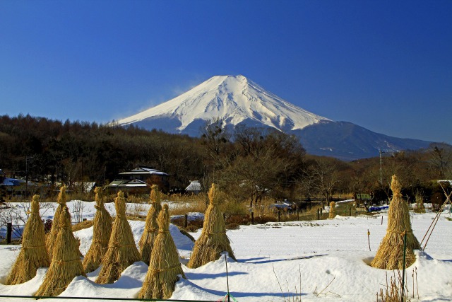 忍野の富士