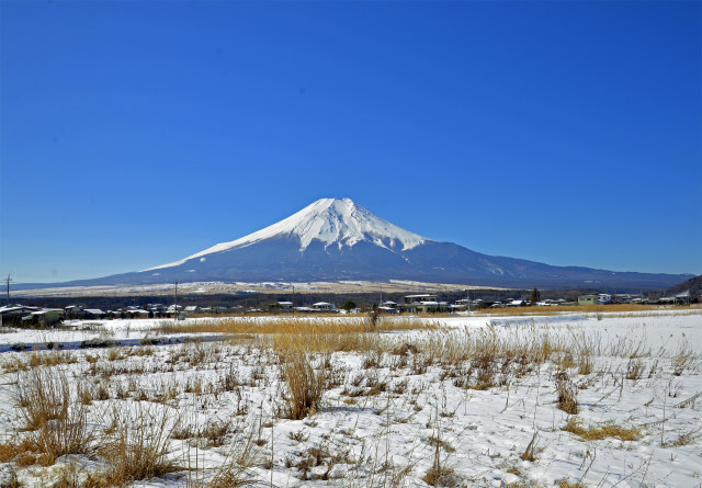 雪原から富士山