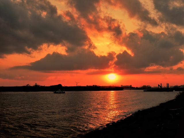 葛西臨海公園の夕景