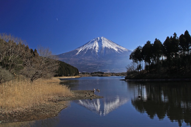 田貫湖の富士山