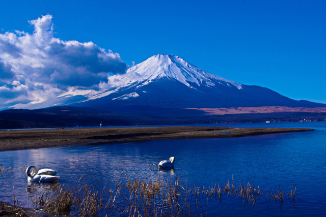 山中湖からの富士山