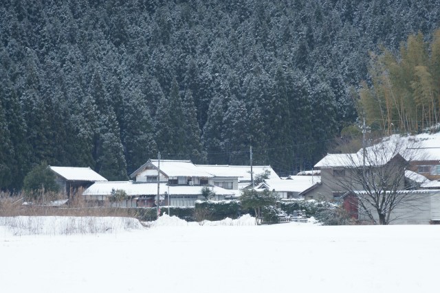 里山の冬