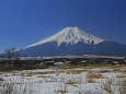 忍野の富士