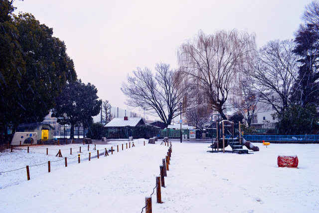 雪の公園・1