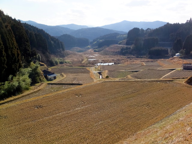 山間部、冬の棚田