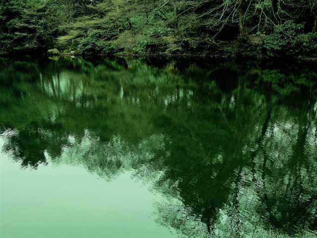 下の池の映り込み