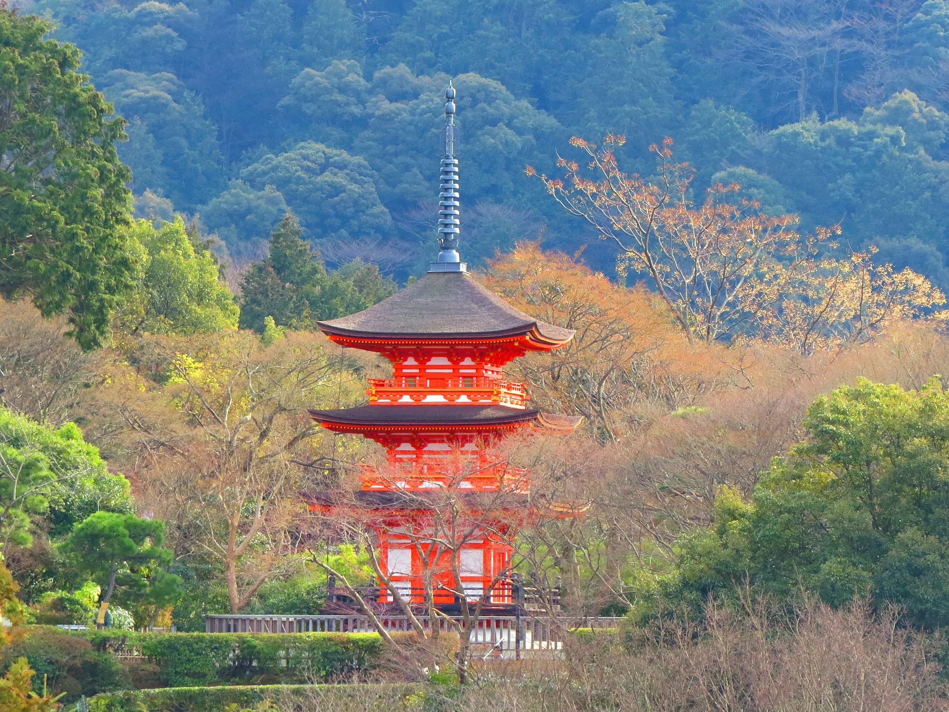 日本の風景 清水寺の子安塔 壁紙19x1440 壁紙館