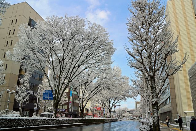 雪の富山駅前通り