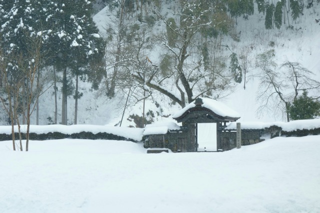 小雪舞う唐門