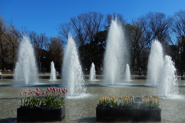 上野公園の風景