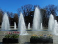 上野公園の風景