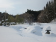 2018年2月のミニ日本庭園