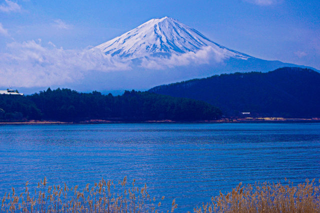 河口湖からの富士山