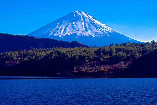 西湖からの富士山