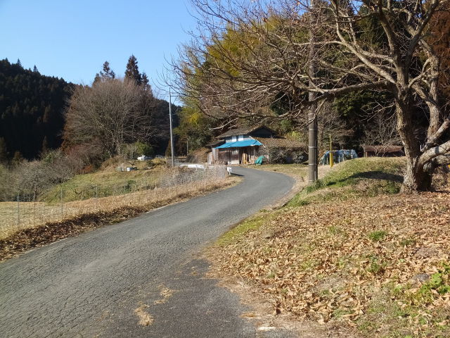 早春の田舎道