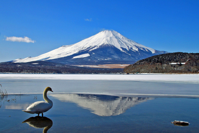 水温む山中湖