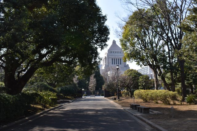 憲政記念公園から望む国会議事堂