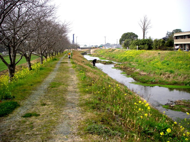 早春の小川