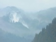 雨水の山霧