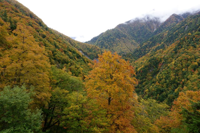 安房峠の紅葉