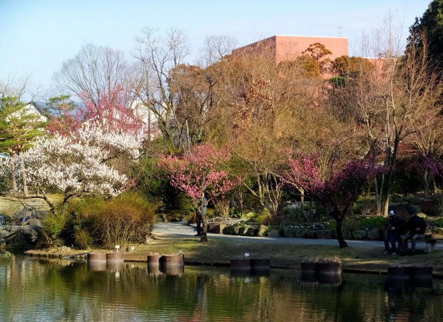 春の公園で