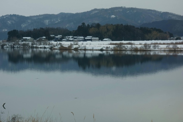 静寂の九頭竜川