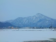 雪解けの水田と日野山