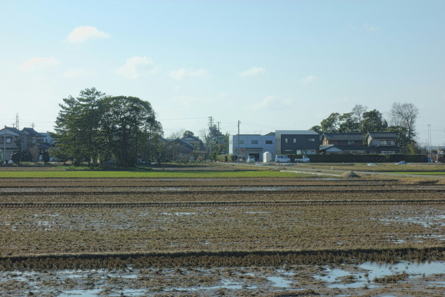 早春の一本田田中の水田