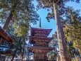 冠雪の若一王子神社三重塔