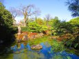 鳥羽離宮跡城南宮の庭園