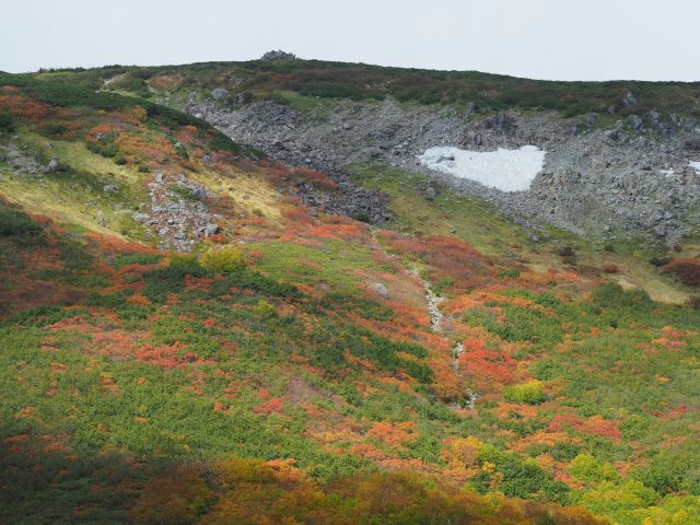 白馬乗鞍岳への道