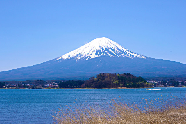 春の富士山