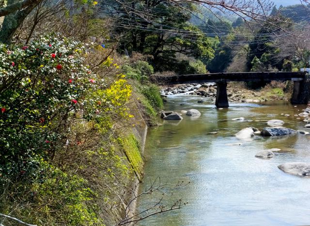 水ぬるむ山里の川