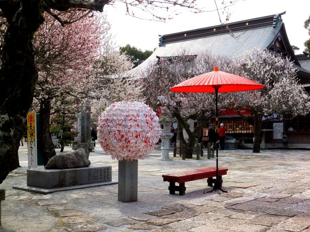 梅の花咲く天神さんの境内で