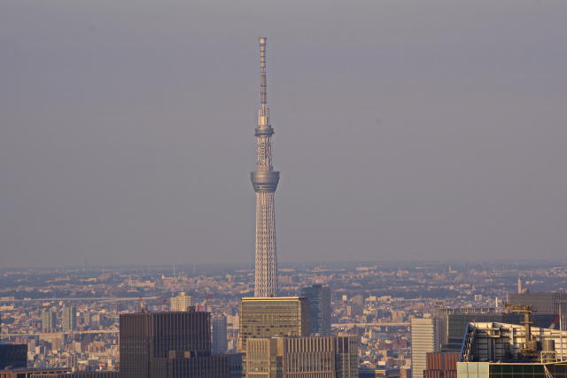 東京スカイツリー