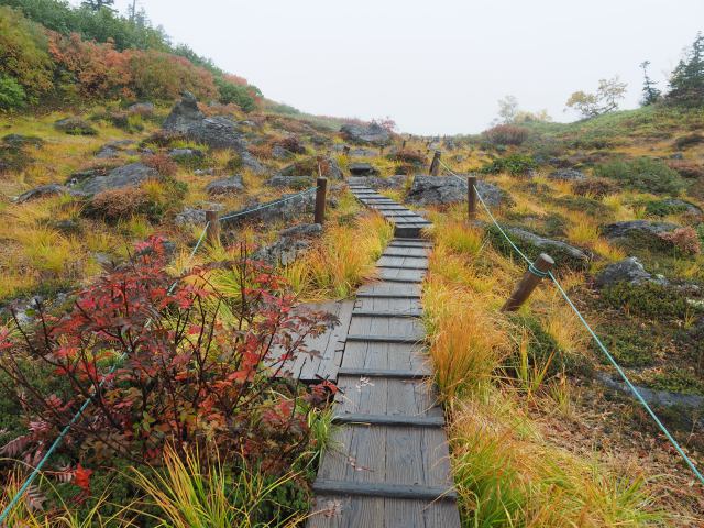 雨の天狗の庭にて