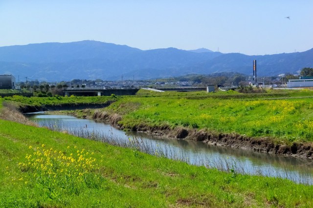 春の小川