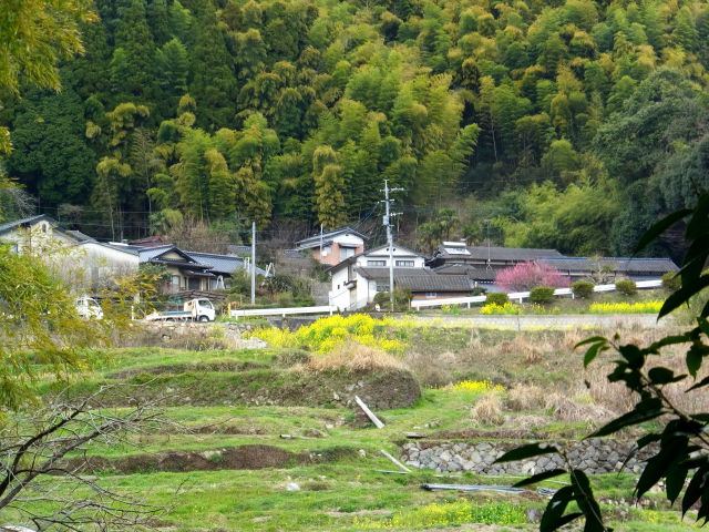 春が来た山の集落