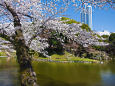 春の小石川後楽園