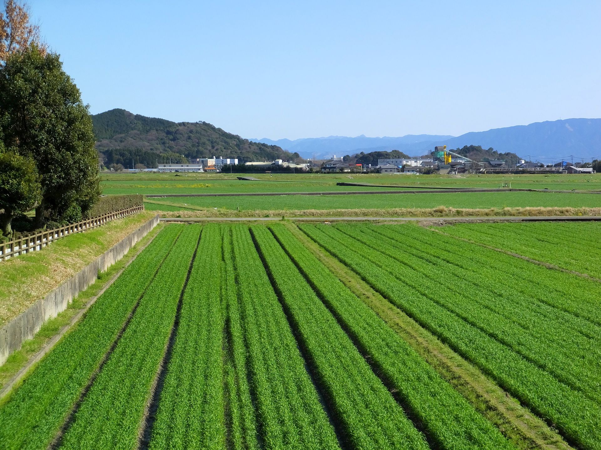 日本の風景 春の田園風景 壁紙19x1440 壁紙館