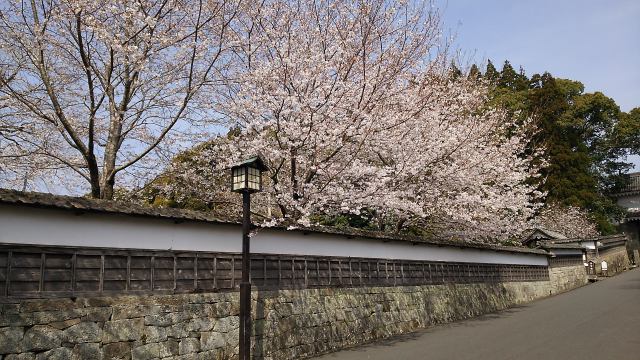 飫肥城址1